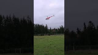 R44 Helicopter Flying Christmas Trees 2023 Part 10 [upl. by Eelahs]