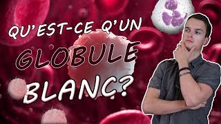 QUESTCE QUUN GLOBULE BLANC [upl. by Talya363]