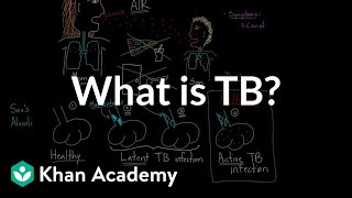 What is TB  Infectious diseases  NCLEXRN  Khan Academy [upl. by Omissam]