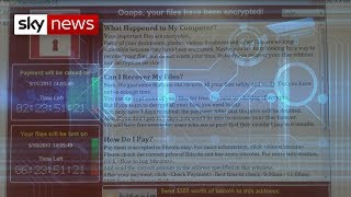 Lifethreatening cyber attack on UK in little doubt [upl. by Alacim410]