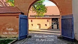 Riesa Sachsen im April 2024 [upl. by Fadas]