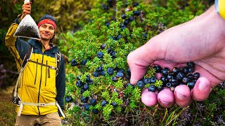 Plukker krekling og lager frokost Storevatn Sirdal [upl. by Maice]