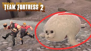 THE SEAL IS BACK TF2 UPDATE [upl. by Eenalem]