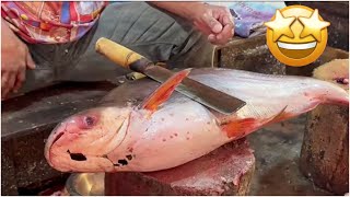 Big Pangas Fish CuttingBD Big Fish CuttingFish CuttingBDFishAndFishingLife [upl. by Niko]