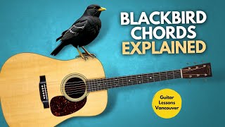 Blackbird Chords Explained [upl. by Aenitsirhc]