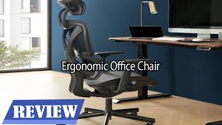 EnjoySeating Ergonomic Office Chair Review  Features amp Details [upl. by Raddie]