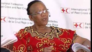 Humanitarian Diplomacy Dialogue  South Africa [upl. by Elin]