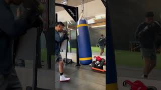 Prolast Heavy Bag Work [upl. by Anelem]