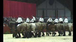 Show De Brabander 2004 [upl. by Sueddaht]