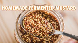 Easy Homemade Fermented Mustard [upl. by Mathilde]