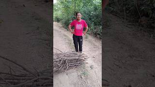 Aaj Jungle mein mujhe injury 🤕 ho gyi vlog minivlog food jungle shorts nature himachal fun [upl. by Nappy]