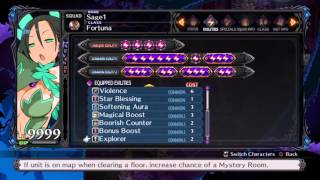 Disgaea 5  Setting up Land Decimator Build for Carnage Rank 40 item leveling [upl. by Enimsay]