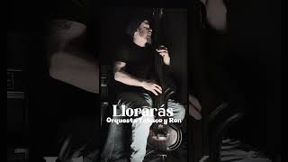 Baby Bass Cover of Llorarás by Orquesta Tabaco Y Ron [upl. by Georgianne]