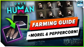 Once Human ESSENTIAL Farming Guide amp RARE Morel Seed amp Peppercorn Seed Locations [upl. by Etti29]