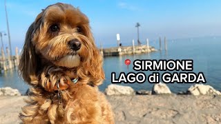 UNA PASSEGGIATA A SIRMIONE🐶 LAGO DI GARDA [upl. by Adnawak]