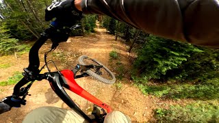 NEW BIKE DAY  Testing my new GT FORCE CARBON at TRESTLE BIKE PARK [upl. by Sadiras]