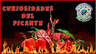 Curiosidades del Picante  los chiles más picantes [upl. by Joanie]