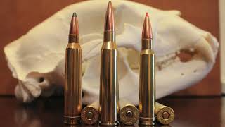 338 Lapua vs 300 Win Mag vs 338 Win Mag Whats Best For You [upl. by Rosene]