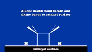 A Brief Introduction to Catalytic Hydrogenation of Alkenes [upl. by Raquela]