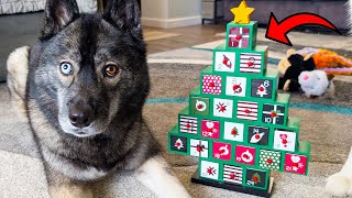 Festive Fun Wooden Christmas Tree Advent Calendar Review [upl. by Morita684]