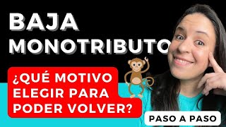 BAJA MONOTRIBUTO 🔥​ Causas y Consecuencias  PASO a PASO ​AFIP [upl. by Binky]