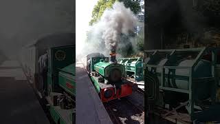 Loads of steam and whistles from the bon accord steam locomotive shorts train steamtrain [upl. by Jessica125]