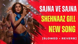 Sajna Ve Sajna  Slowed  Reverb  Shehnaaz Gill Rajkummar Rao sajnavesajna newsong shehnaazgill [upl. by Sybille916]