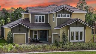 Odessa FL New Homes for Sale in Whitfield Preserve at Starkey Ranch in Tampa [upl. by Ziladnerb]