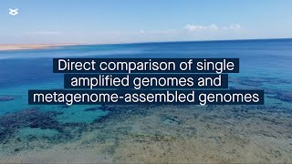 Strengths and weaknesses of the most common genome recovery approaches in environmental microbiology [upl. by Senhauser]