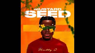 DJ TENTAF  NUTTY O MUSTARD SEED ALBUM MIXTAPE [upl. by Cavit]