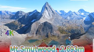 Smutwood mt kananaskishiking캐나다록키 트레킹Calgary산악 동호회 산행 [upl. by Lamond]