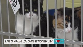 Harbor Humane hosting lowcost vaccine clinic on Thursday [upl. by Flemings]