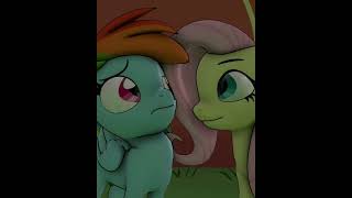 Fluttershy Does it For Rainbow Dash SFM animation meme [upl. by Helm]