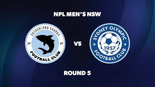 NPL Men’s NSW Round 5 Sutherland Sharks FC v Sydney Olympic FC [upl. by Bronder]