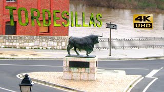 TORDESILLAS [upl. by Namlaz]