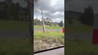 Traralgon to Southern Cross VLine VLocity Train Journey 2024 windowview melbourne australia [upl. by Nugent]