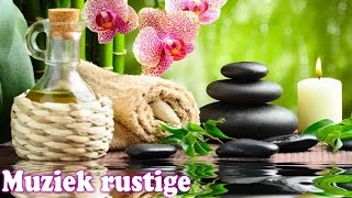 Rustige Ontspannende Muziek ♫ Ontspannende Muziek voor Stress Relief Meditatie Muziek [upl. by Llarret]