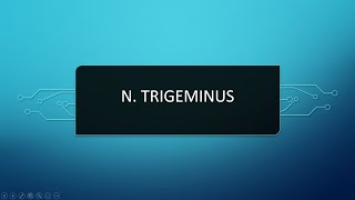 N Trigeminus  V Kraniyal Sinir [upl. by Burrell154]