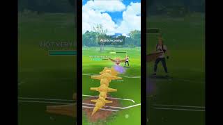 Vigoroth Comes in Clutch in Great League Sunshine Cup  Pokemon GO [upl. by Aidnis115]