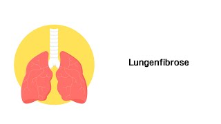 Lungenfibrose  Erkrankungen der Atemwege [upl. by Nossaj]