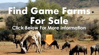 Game Farms For Sale Botswana [upl. by Aiekan]