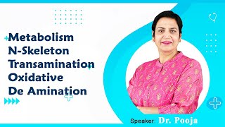 Metabolism NSkeleton Transamination Oxidative amp De Amination By Dr Pooja For MBBS 1st Proff [upl. by Wertheimer]