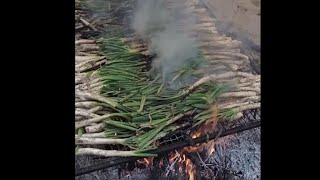 ZwiebelWettessen beim CalçotFestival in Valls Spanien [upl. by Cara631]