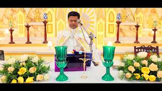 Sunday Holy Mass October 29 530 AM I Malayalam I Syro Malabar I Fr Bineesh Augustine [upl. by Adnawyek]