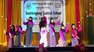 Remix dance  Rigsar  Annual Concert  2024 [upl. by Gunnar]