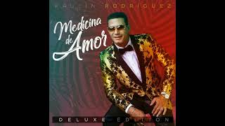 Medicina de Amor  Raulin Rodriguez  Bachata  Acapella Starter Outro  142BPMbpm [upl. by Nnairb]