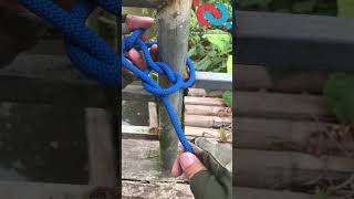 Turn Noose knot into the King of Knots knotshortchannel [upl. by Kleon551]