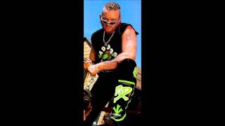 Road Dogg Theme quotOh You Didnt Knowquot [upl. by Ydnic]