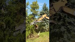 MDE Scorpion S1600 Excavator Grab IN ACTION  Morton Equipment demolition construction [upl. by Nassah]