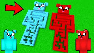 KOLOROWE LABIRYNTY w Minecraft 🔵🔴 [upl. by Eednarb812]